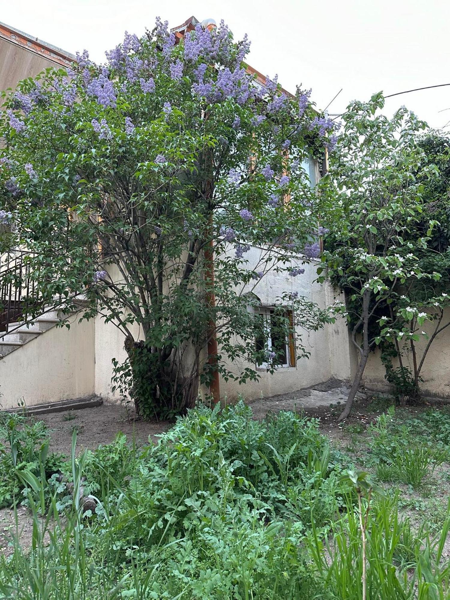 Popock City Center Jerevan Exteriör bild