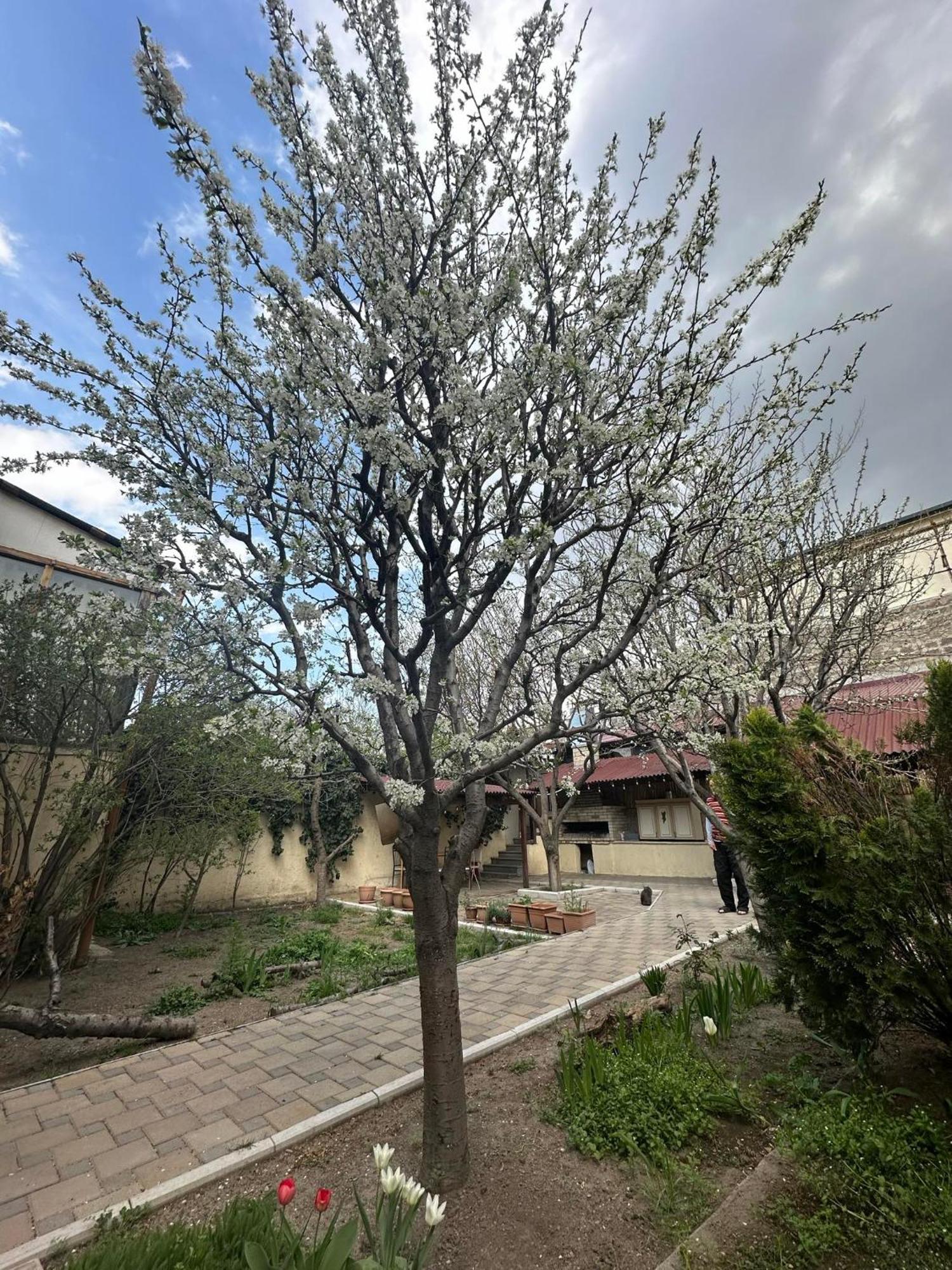 Popock City Center Jerevan Exteriör bild